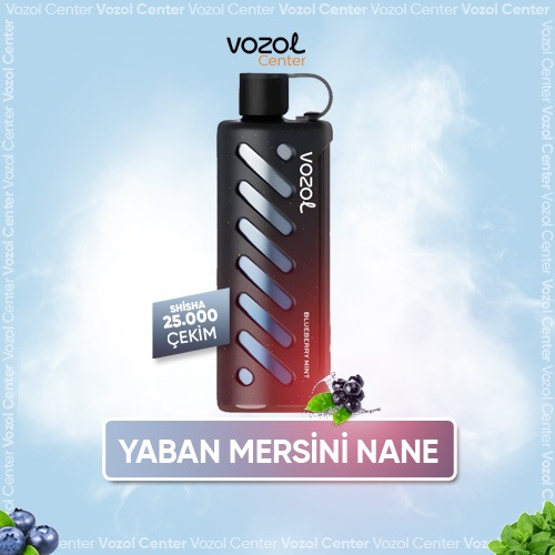 Vozol Gear Shisha 25000 Blueberry Mint